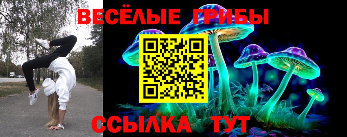 где можно купить наркотик  Вход с VPN  Ивантеевка  Галлюциногенные грибы мицелий  Псилоцибиновые грибы Cubensis 